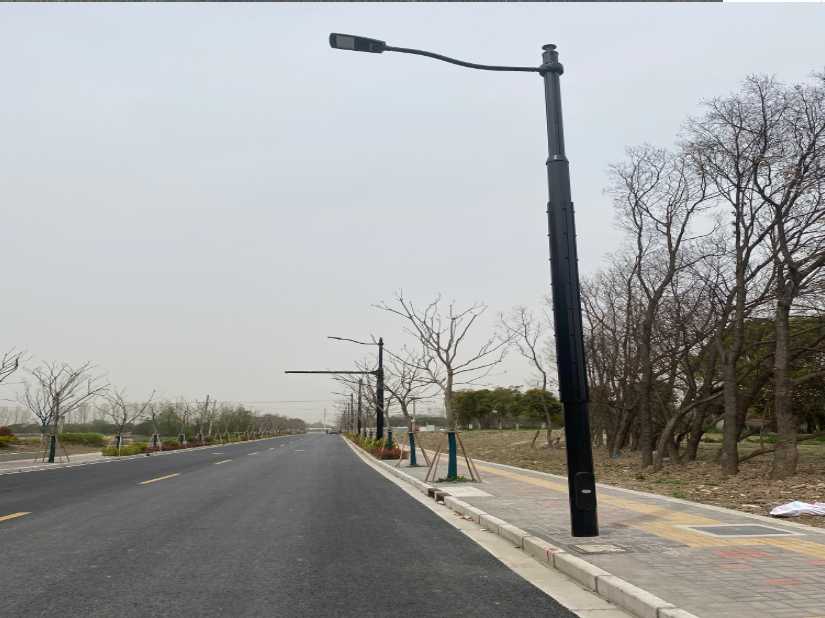 台州上海综合杆 太阳能路灯工程